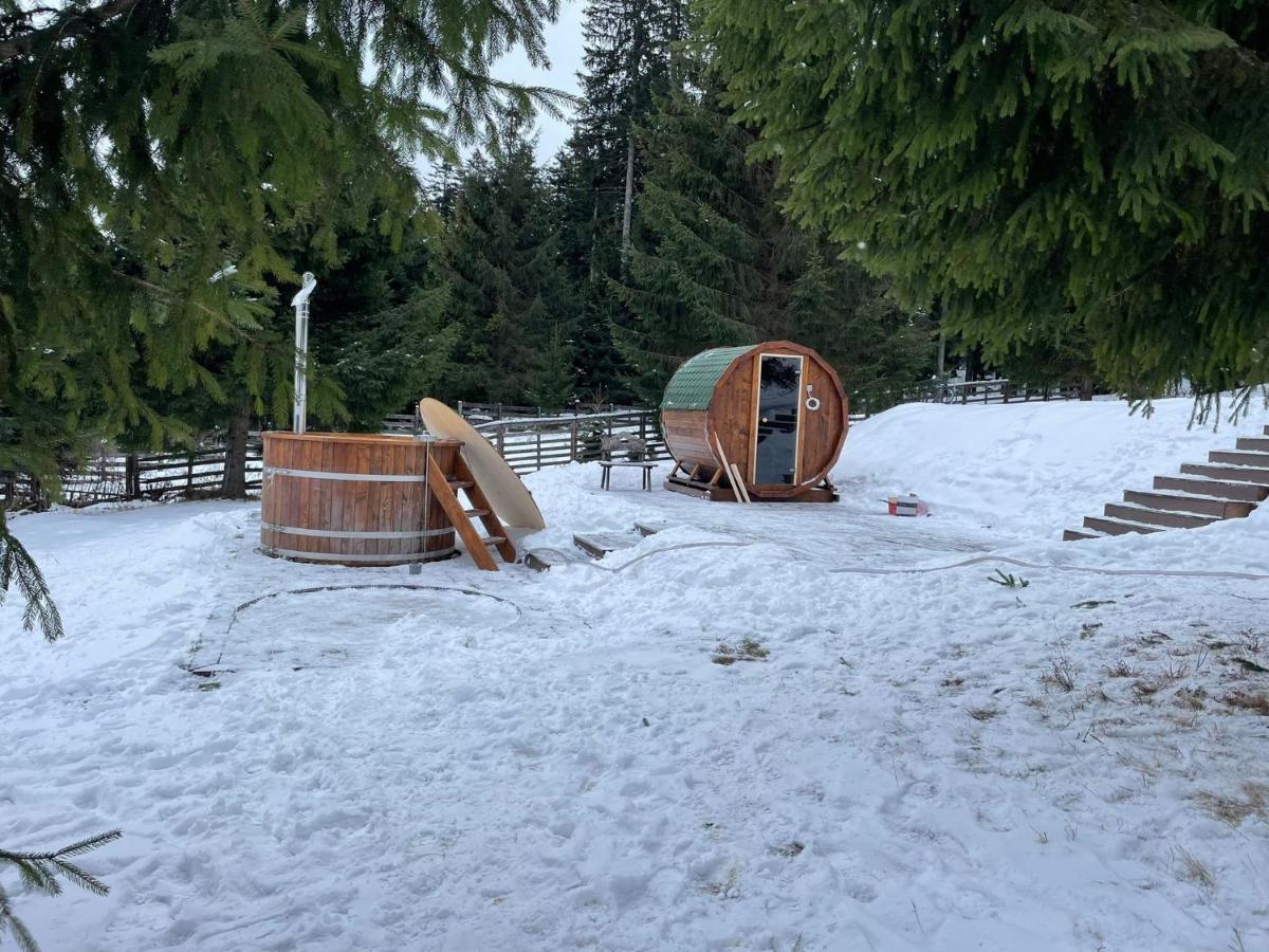 Hotel Floare De Colt Manastirea Humorului Luaran gambar