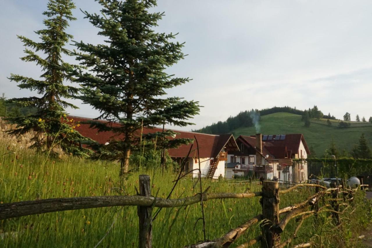 Hotel Floare De Colt Manastirea Humorului Luaran gambar